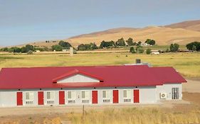 Lazy Bear Ranch